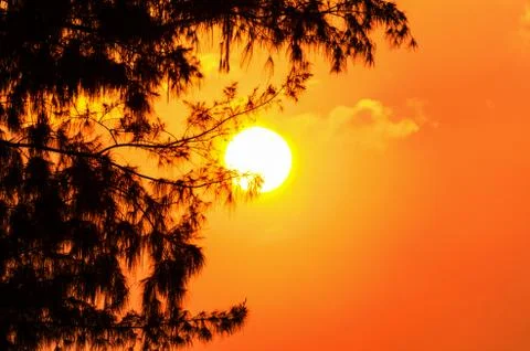 Silhouette sunset Stock Photos