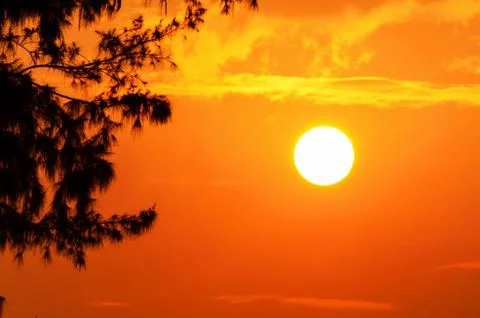 Silhouette sunset Stock Photos