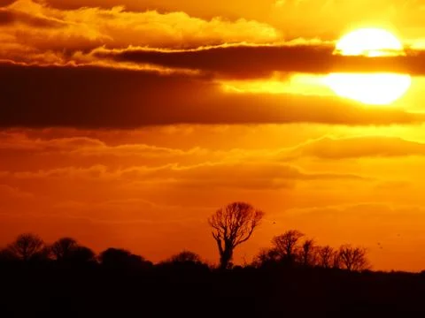 Silhouette Sunset Stock Photos