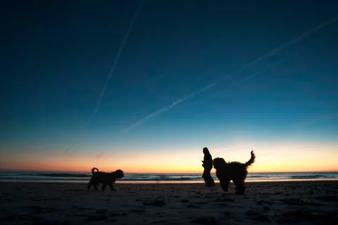 Silhouette sunset Stock Photos