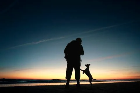 Silhouette sunset Stock Photos