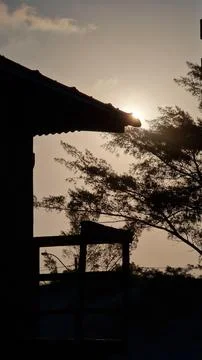 Silhouette at Sunset Stock Photos