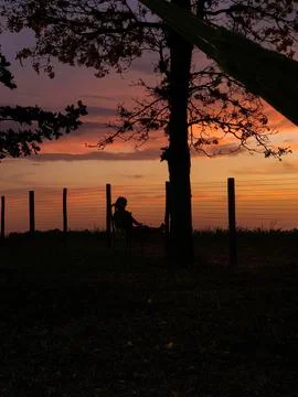 Silhouette at Sunset Stock Photos