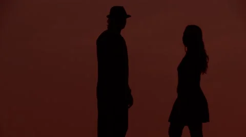 A silhouette in the sunsets. couple Video stock 49204879