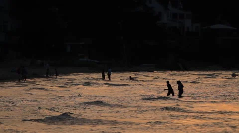 Silhouette Swimmers Stock Footage 57717323