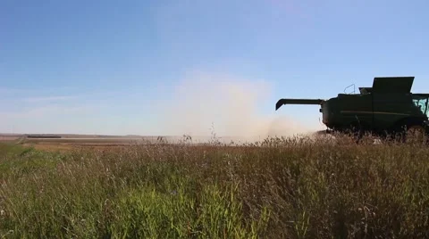 A silhouette of a threshing machine driven by a farmer Stock Footage 54912422