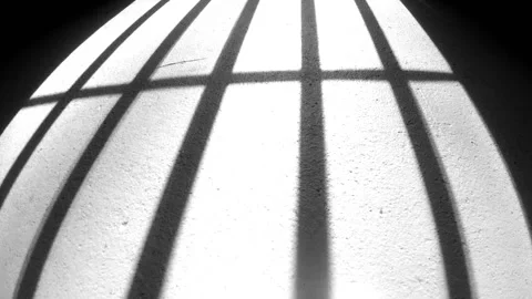 Silhouette Timelapse of Prison Cell Bars Stock-Footage 235487322