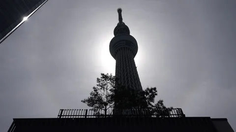 Silhouette of Tokyo Skytree tower Stock Footage 39726514