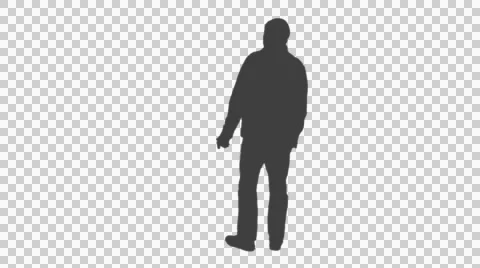 Silhouette of a tourist looking at something, Back view, Full HD Stock Footage 50976629