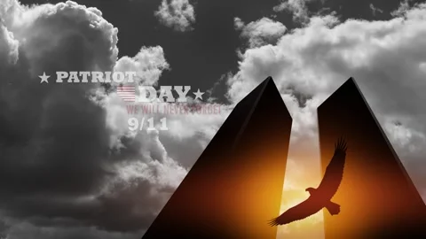 Silhouette of Towers with soaring eagle on background of black and white sky. Stock Footage 313600911