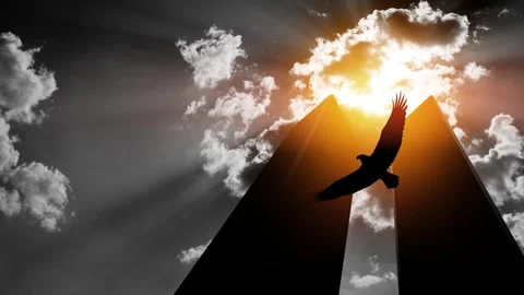 Silhouette of Towers with soaring eagle on background of black and white sky Stock Footage 314274121