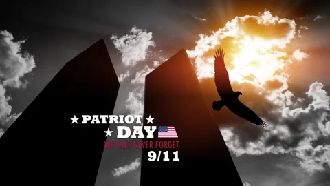 Silhouette of Towers with soaring eagle on background of black and white sky Stock Footage 314844963