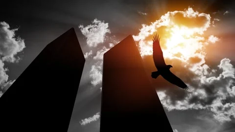 Silhouette of Towers with soaring eagle on background of black and white sky. Stock Footage 315032524
