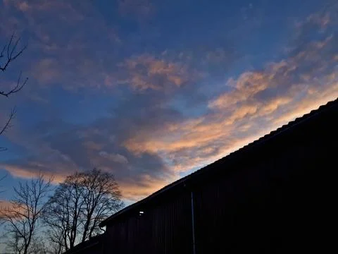Silhouette of a tree against the backdrop of sunset Stock Photos