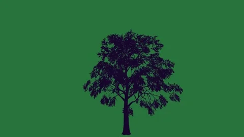 Silhouette Tree Against Green Screen Black Frame Colorful Depth Cartoonish Stock Footage 336955754