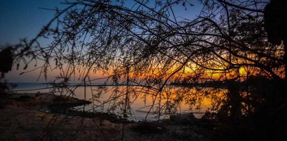Silhouette Tree on The Beach with Sunset Background Stock Photos