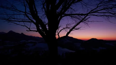 Silhouette of a tree in beautiful colors at the setting sun, zoom in Stock-Footage 150473423