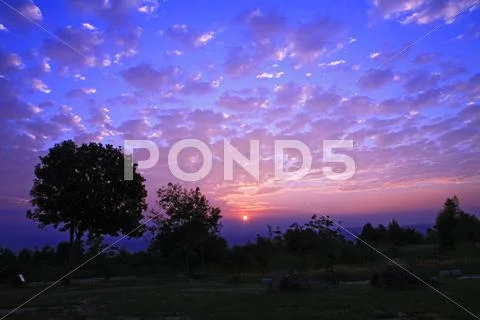 Silhouette of tree with beautiful sunrise Stock Photos