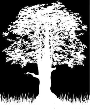 Silhouette tree on black Stock Illustration