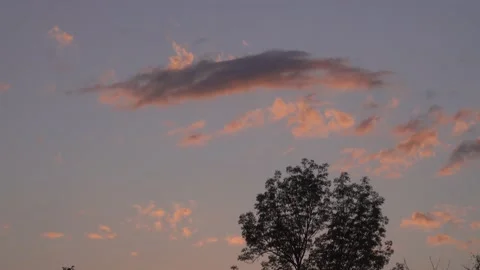 Silhouette of tree branches on the background of clouds in the evening sky. Stock Footage 218151153