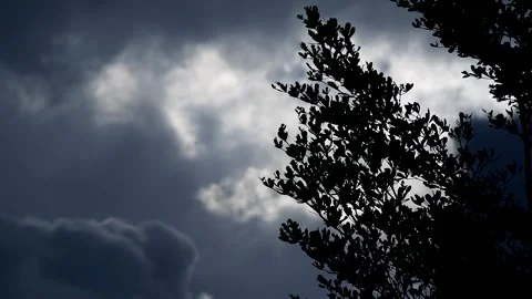 Silhouette of tree with dark clouds, , countryside Chiangmai province  Thailand. Stock Footage 248188858