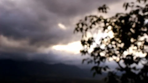 Silhouette of tree on dramatic sky background in the rainy season.  Stock Footage 114542715