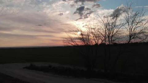 Silhouette of tree during the sunset Stock Footage 150910838