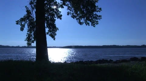 Silhouette tree 스톡 동영상 7751835