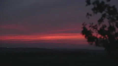 Silhouette of a tree 스톡 동영상 43873029