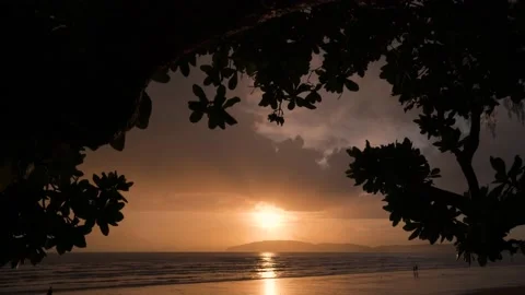 Silhouette of tree foreground with alone man walking on the beach sunset Stock Footage 141359501