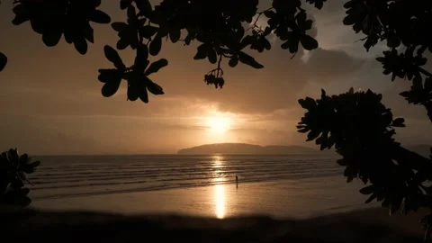 Silhouette of tree foreground Small a man walking on the beach Stock Footage 153507788
