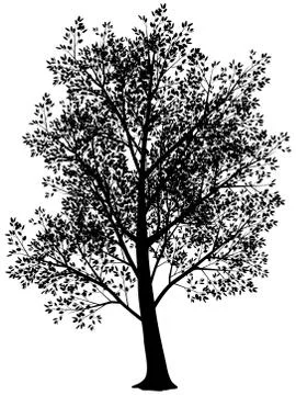 Silhouette of tree Stock Illustration