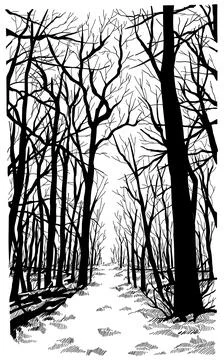 Silhouette of a tree 스톡 일러스트