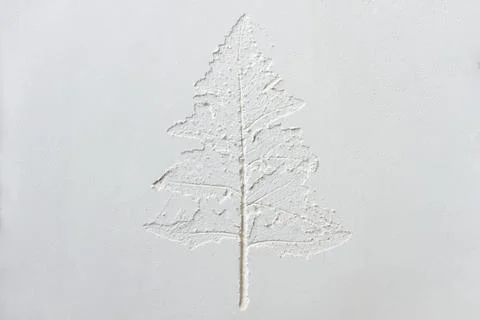 Silhouette of tree leaf printed on .smooth flat surface. Top view of white du Foto stock