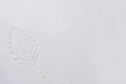 Silhouette of tree leaf printed on .smooth flat surface. Top view of white du Stock Photos