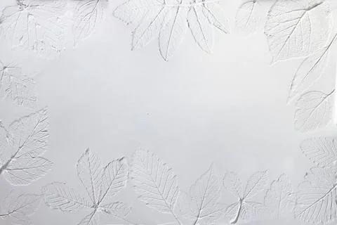 Silhouette of tree leaf printed on .smooth flat surface or table. Top view of 스톡 사진