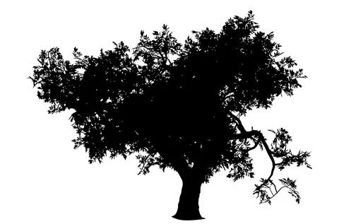 Silhouette of tree with leaves イラスト素材