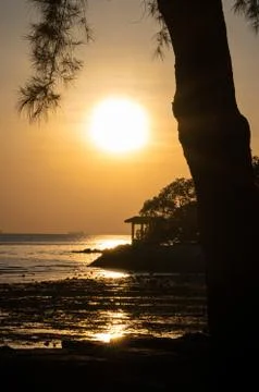 Silhouette of Tree Stock Photos
