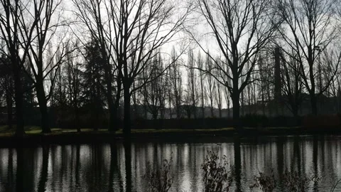 Silhouette tree reflect in the river against white sky Stock-Footage 185539244