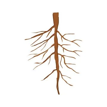 Silhouette tree root cartoon vector illustration Stock Illustration