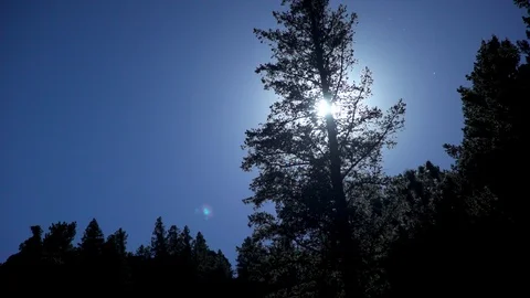 Silhouette tree with sun behind in the mountains 스톡 동영상 97148554