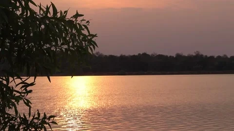 Silhouette tree in sunset background Stock Footage 171412554