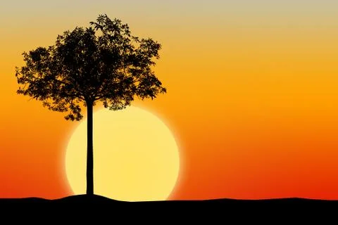 Silhouette of tree with sunset background Stock Photos