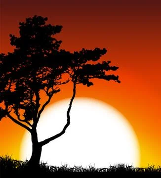 Silhouette of Tree on Sunset Background. Vector Illustration Ilustración de archivo