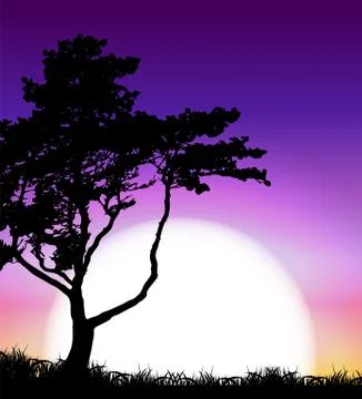 Silhouette of Tree on Sunset Background. Vector Illustration Stock Illustration