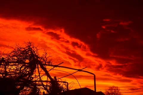 Silhouette of tree with sunset Stock Photos