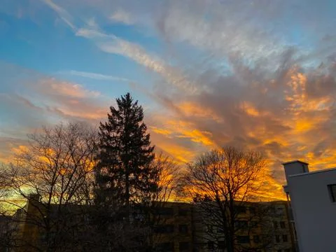 The silhouette of a tree in the sunset Stock Photos