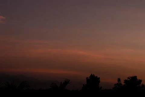 Silhouette of a tree in the sunset Stock Photos