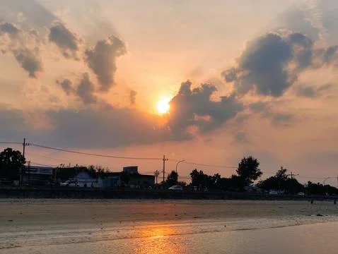 Silhouette of tree at sunset Stock Photos
