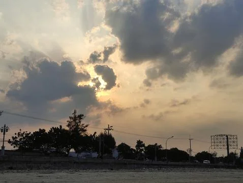 Silhouette of tree at sunset Stock Photos